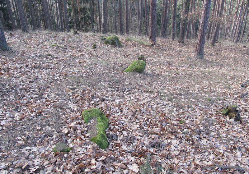 Naučná stezka Nečemické kamenné řady